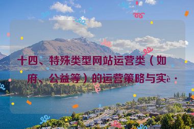 十四、特殊類(lèi)型網(wǎng)站運(yùn)營(yíng)類(lèi)（如政府、公益等）的運(yùn)營(yíng)策略與實(shí)踐