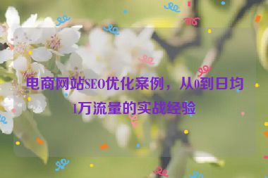 電商網(wǎng)站SEO優(yōu)化案例，從0到日均1萬(wàn)流量的實(shí)戰(zhàn)經(jīng)驗(yàn)