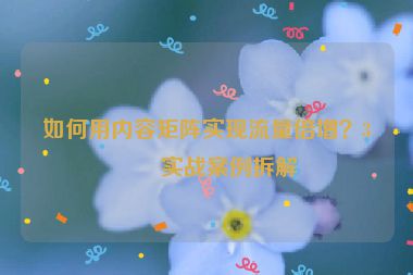 如何用內(nèi)容矩陣實(shí)現(xiàn)流量倍增？3個實(shí)戰(zhàn)案例拆解