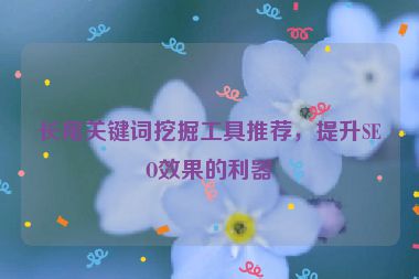 長(zhǎng)尾關(guān)鍵詞挖掘工具推薦，提升SEO效果的利器