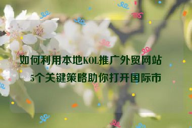 如何利用本地KOL推廣外貿(mào)網(wǎng)站？5個關(guān)鍵策略助你打開國際市場