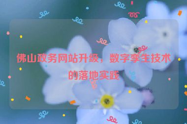 佛山政務(wù)網(wǎng)站升級(jí)，數(shù)字孿生技術(shù)的落地實(shí)踐