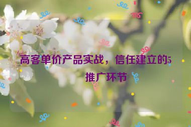 高客單價(jià)產(chǎn)品實(shí)戰(zhàn)，信任建立的5個(gè)推廣環(huán)節(jié)