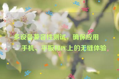 多設(shè)備兼容性測試，確保應(yīng)用在手機、平板和PC上的無縫體驗