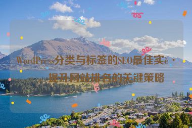 WordPress分類與標(biāo)簽的SEO最佳實(shí)踐，提升網(wǎng)站排名的關(guān)鍵策略