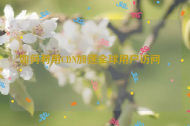 如何利用CDN加速全球用戶訪問？