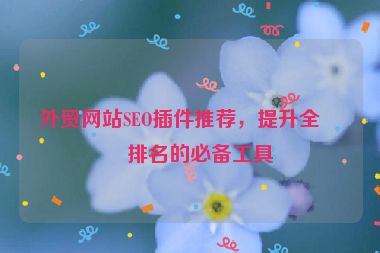 外貿(mào)網(wǎng)站SEO插件推薦，提升全球排名的必備工具