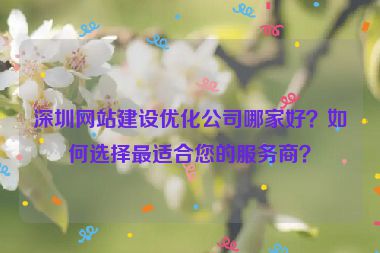 深圳網(wǎng)站建設(shè)優(yōu)化公司哪家好？如何選擇最適合您的服務(wù)商？