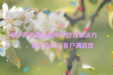 電子商務網(wǎng)站的庫存管理解決方案，提升效率與客戶滿意度