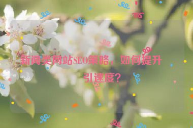 新聞類網站SEO策略，如何提升索引速度？