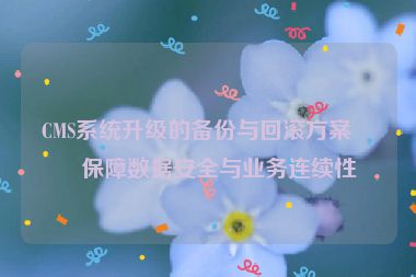 CMS系統(tǒng)升級(jí)的備份與回滾方案，保障數(shù)據(jù)安全與業(yè)務(wù)連續(xù)性