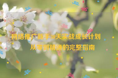 網(wǎng)絡(luò)推廣新手30天實戰(zhàn)成長計劃，從零到精通的完整指南