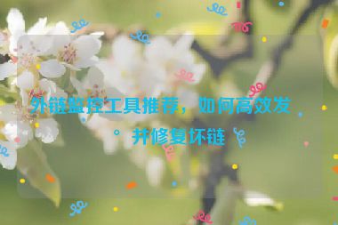 外鏈監(jiān)控工具推薦，如何高效發(fā)現(xiàn)并修復(fù)壞鏈