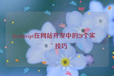 JavaScript在網(wǎng)站開(kāi)發(fā)中的20個(gè)實(shí)用技巧