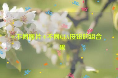 +不同圖片+不同CTA按鈕的組合效果