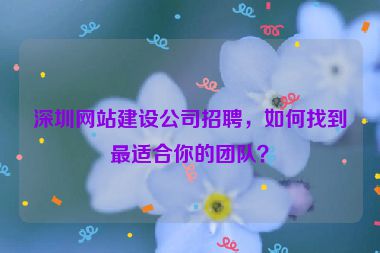 深圳網(wǎng)站建設(shè)公司招聘，如何找到最適合你的團(tuán)隊？