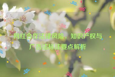 網(wǎng)紅合作法律風險，知識產(chǎn)權(quán)與廣告法標注要點解析