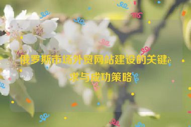 俄羅斯市場外貿(mào)網(wǎng)站建設(shè)的關(guān)鍵要求與成功策略