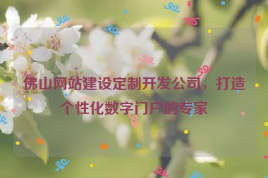 佛山網(wǎng)站建設(shè)定制開發(fā)公司，打造個性化數(shù)字門戶的專家