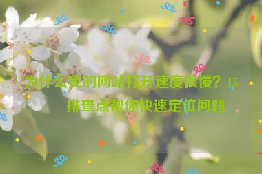 為什么我的網(wǎng)站打開(kāi)速度很慢？15個(gè)排查點(diǎn)幫你快速定位問(wèn)題