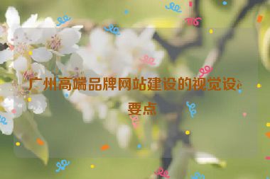 廣州高端品牌網(wǎng)站建設(shè)的視覺設(shè)計要點(diǎn)