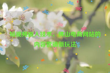 短視頻嵌入技術(shù)，佛山電商網(wǎng)站的內(nèi)容營銷新玩法