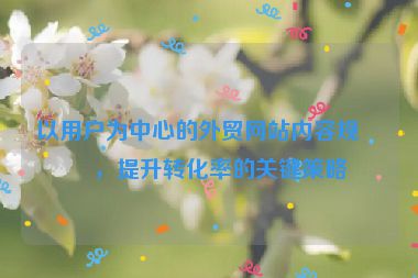以用戶為中心的外貿(mào)網(wǎng)站內(nèi)容規(guī)劃，提升轉(zhuǎn)化率的關(guān)鍵策略