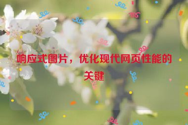 響應式圖片，優(yōu)化現(xiàn)代網(wǎng)頁性能的關鍵