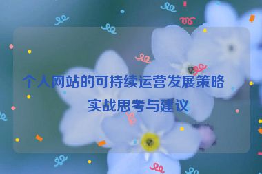 個人網(wǎng)站的可持續(xù)運營發(fā)展策略，實戰(zhàn)思考與建議