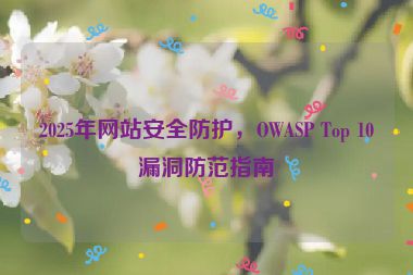 2025年網(wǎng)站安全防護(hù)，OWASP Top 10漏洞防范指南