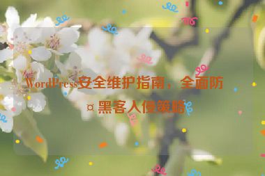 WordPress安全維護指南，全面防護黑客入侵策略