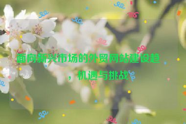 面向新興市場的外貿(mào)網(wǎng)站建設趨勢，機遇與挑戰(zhàn)