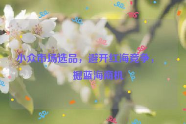 小眾市場選品，避開紅海競爭，挖掘藍海商機