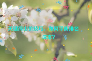 關鍵詞出價技巧，如何平衡排名和成本？