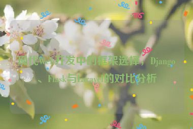 現(xiàn)代Web開發(fā)中的框架選擇，Django、Flask與Laravel的對比分析