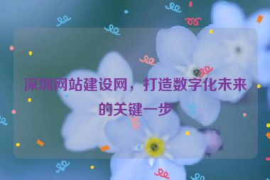 深圳網(wǎng)站建設(shè)網(wǎng)，打造數(shù)字化未來的關(guān)鍵一步