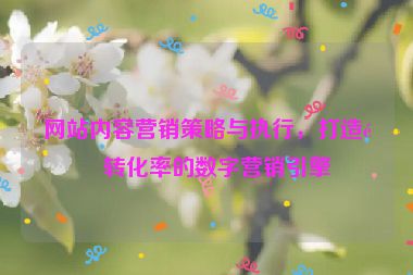 網(wǎng)站內(nèi)容營銷策略與執(zhí)行，打造高轉(zhuǎn)化率的數(shù)字營銷引擎