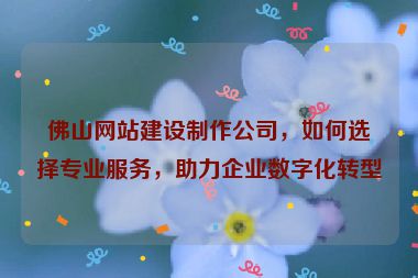 佛山網(wǎng)站建設(shè)制作公司，如何選擇專業(yè)服務(wù)，助力企業(yè)數(shù)字化轉(zhuǎn)型