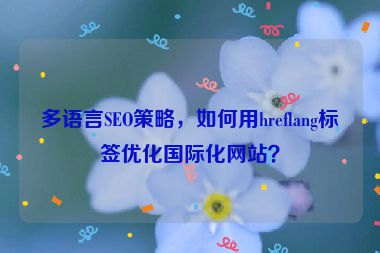 多語言SEO策略，如何用hreflang標(biāo)簽優(yōu)化國際化網(wǎng)站？