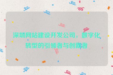 深圳網(wǎng)站建設(shè)開發(fā)公司，數(shù)字化轉(zhuǎn)型的引領(lǐng)者與創(chuàng)新者