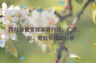 網(wǎng)站流量變現(xiàn)渠道對(duì)比，廣告、會(huì)員、電商等模式分析