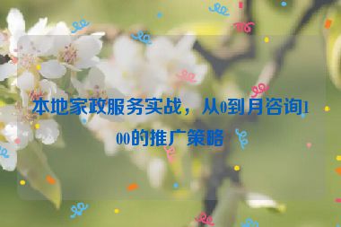 本地家政服務(wù)實(shí)戰(zhàn)，從0到月咨詢(xún)100的推廣策略