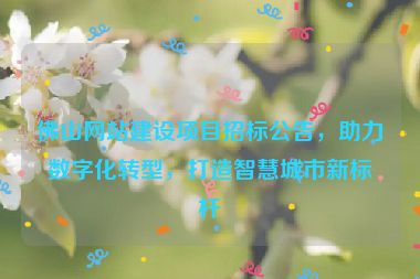 佛山網(wǎng)站建設(shè)項目招標公告，助力數(shù)字化轉(zhuǎn)型，打造智慧城市新標桿