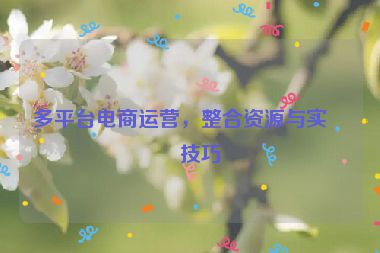 多平臺電商運營，整合資源與實戰(zhàn)技巧
