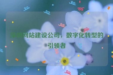 深圳網(wǎng)站建設(shè)公司，數(shù)字化轉(zhuǎn)型的引領(lǐng)者