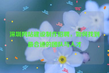 深圳網(wǎng)站建設(shè)制作招聘，如何找到最合適的團(tuán)隊(duì)與人才