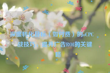 深度轉(zhuǎn)化目標(biāo)（如付費(fèi)）的oCPC實(shí)戰(zhàn)技巧，提升廣告ROI的關(guān)鍵策略