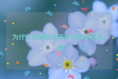 為什么定期安全審計對網(wǎng)站至關(guān)重要？