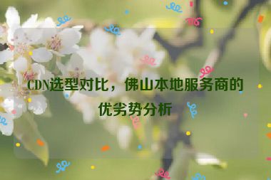CDN選型對(duì)比，佛山本地服務(wù)商的優(yōu)劣勢分析
