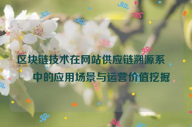 區(qū)塊鏈技術(shù)在網(wǎng)站供應(yīng)鏈溯源系統(tǒng)中的應(yīng)用場景與運營價值挖掘